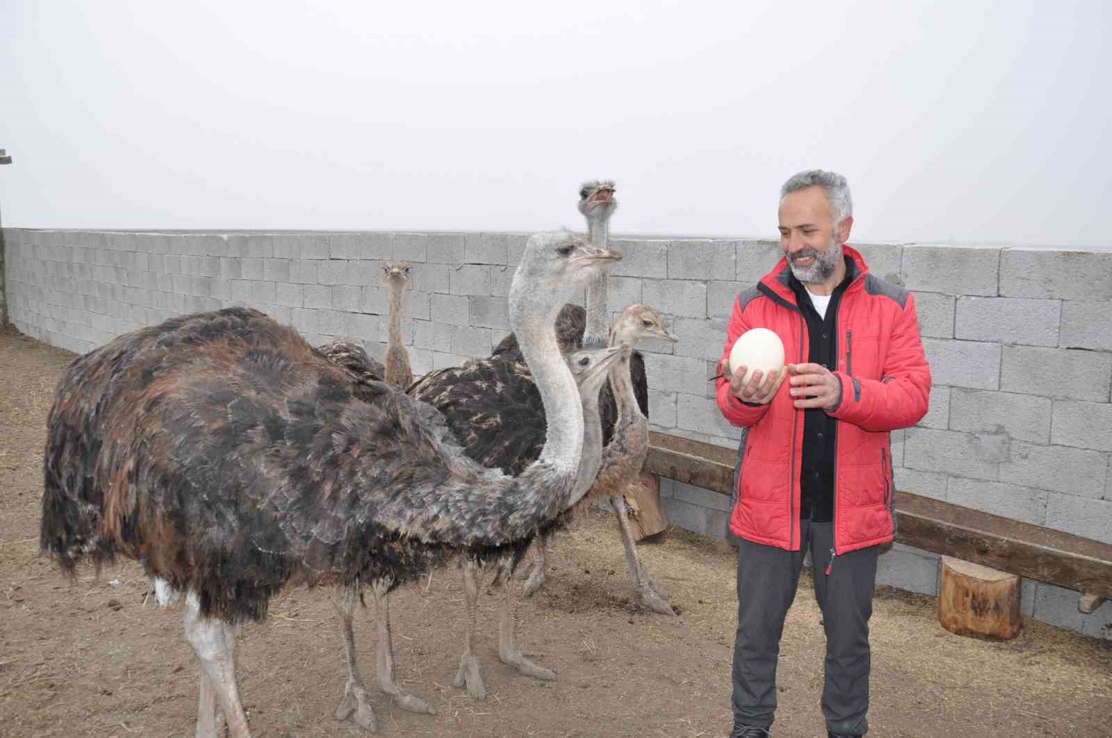 Burası Afrika değil Kars