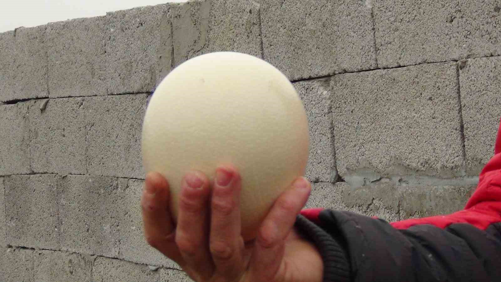 Burası Afrika değil Kars