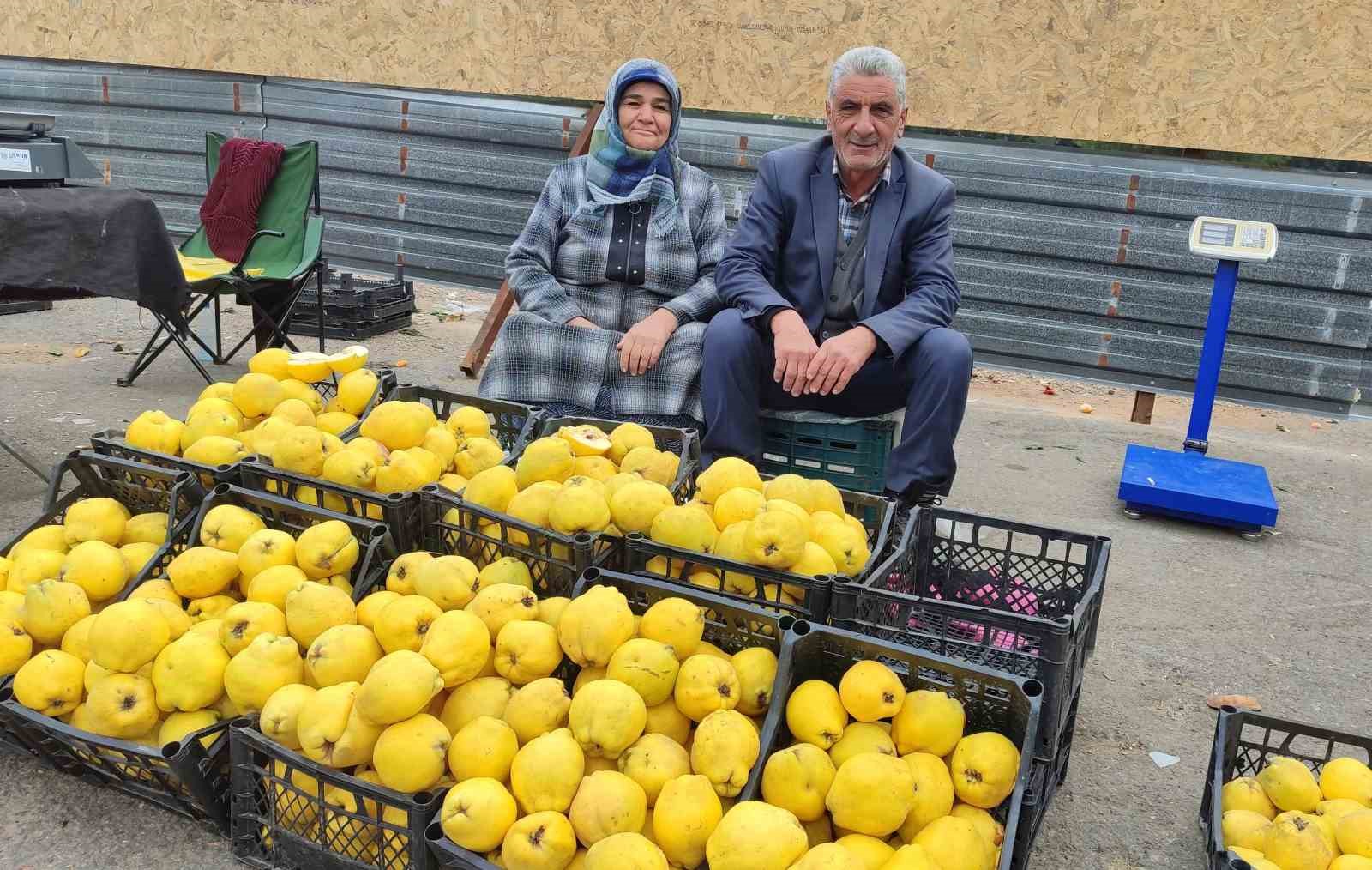 Kendi bahçesinde yetiştirdikleri ayvaları satarak 7 çocuk okuttular