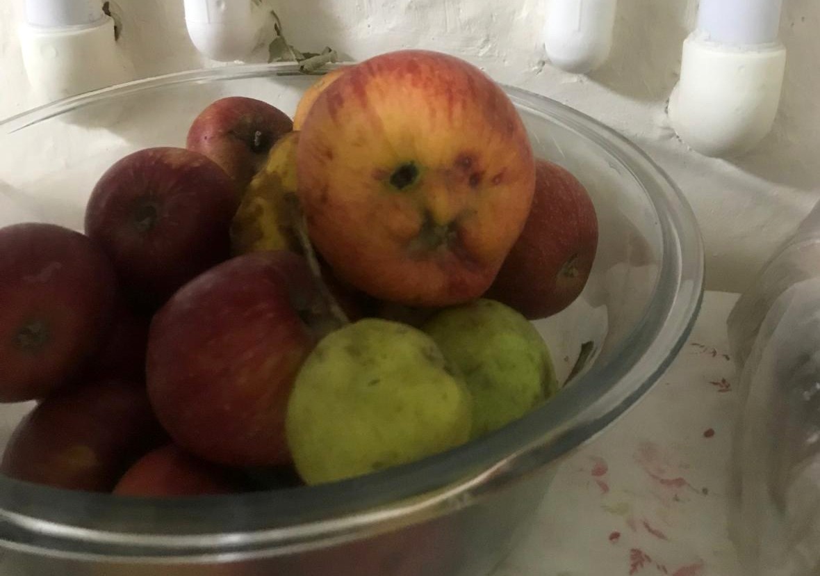 Hakkari’de insan yüzlü elma şaşırttı