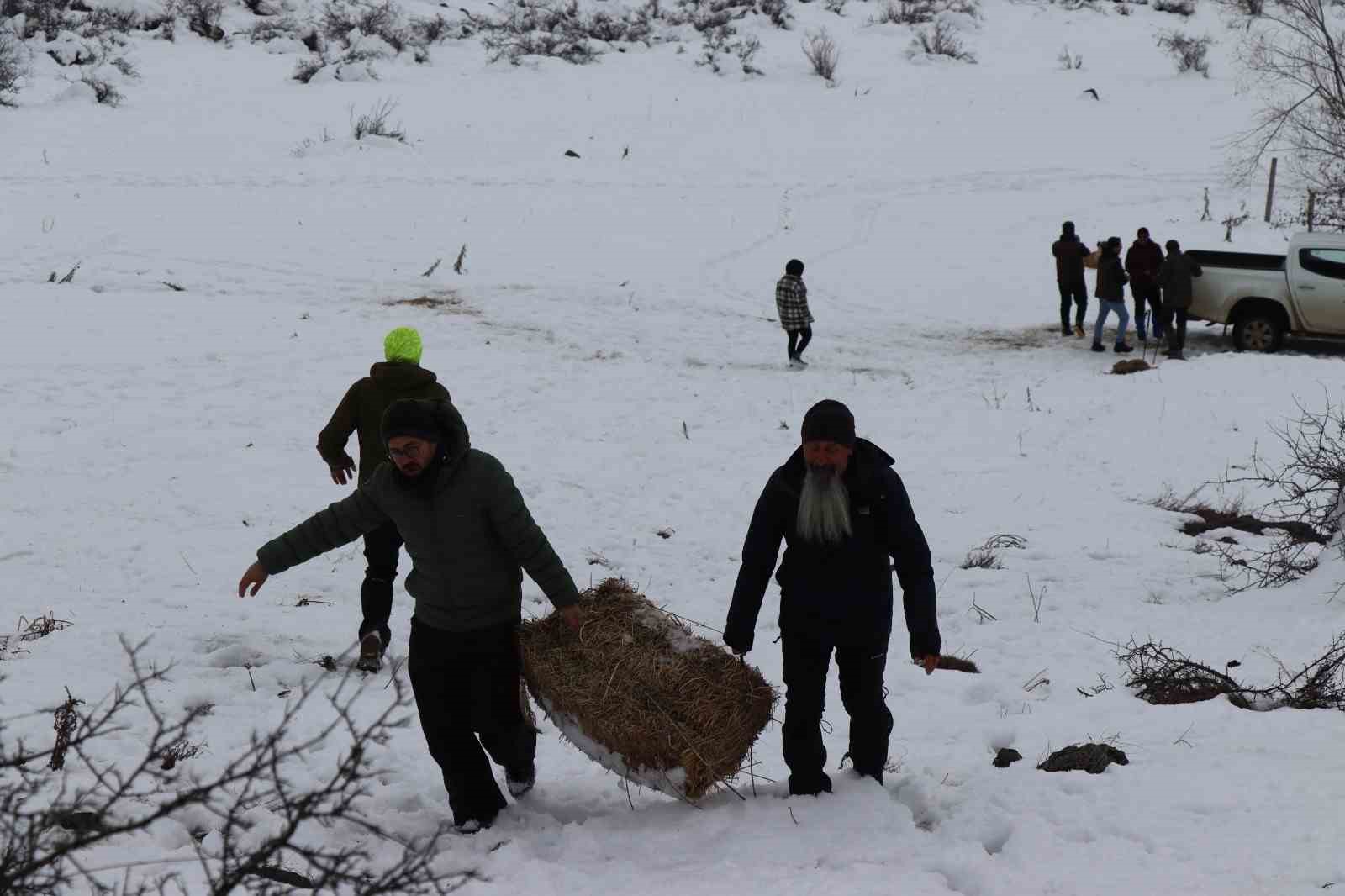 Erzurum’da doğaseverler yaban hayatını unutmadılar