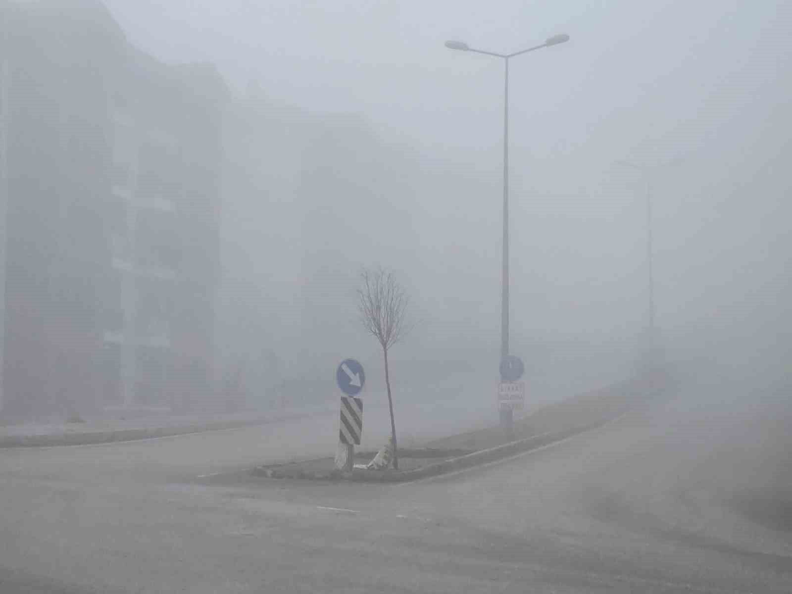 Elazığ’da yoğun sis etkili oldu, bir mahalle adeta kayboldu