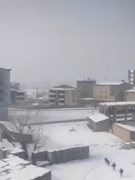 Yüksekova’da başıboş köpeklerin öğrencilere saldırı anı böyle görüntülendi