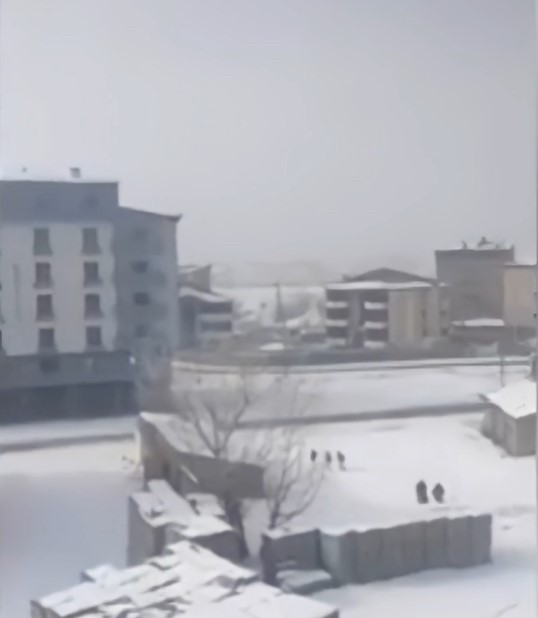 Yüksekova’da başıboş köpeklerin öğrencilere saldırı anı böyle görüntülendi