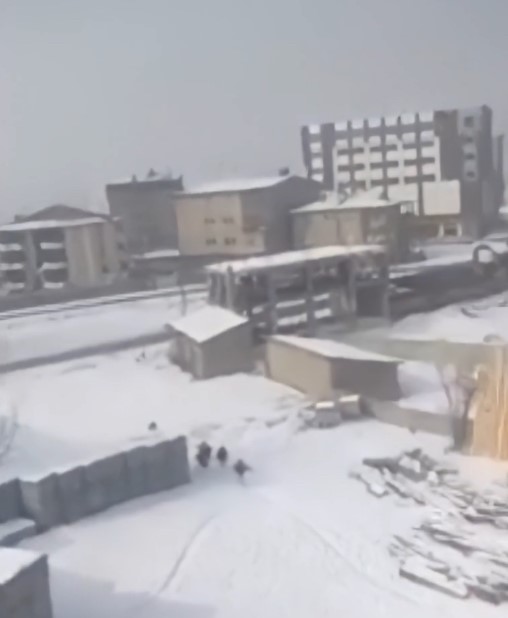 Yüksekova’da başıboş köpeklerin öğrencilere saldırı anı böyle görüntülendi