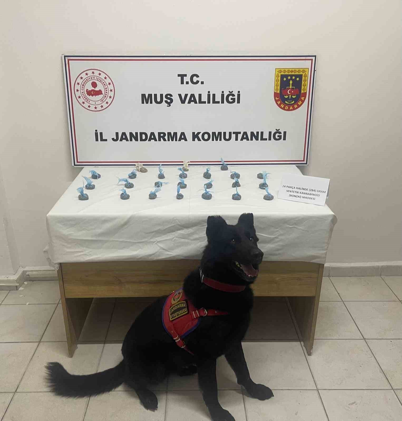 Muş’ta uyuşturucu operasyonunda 3 tutuklama