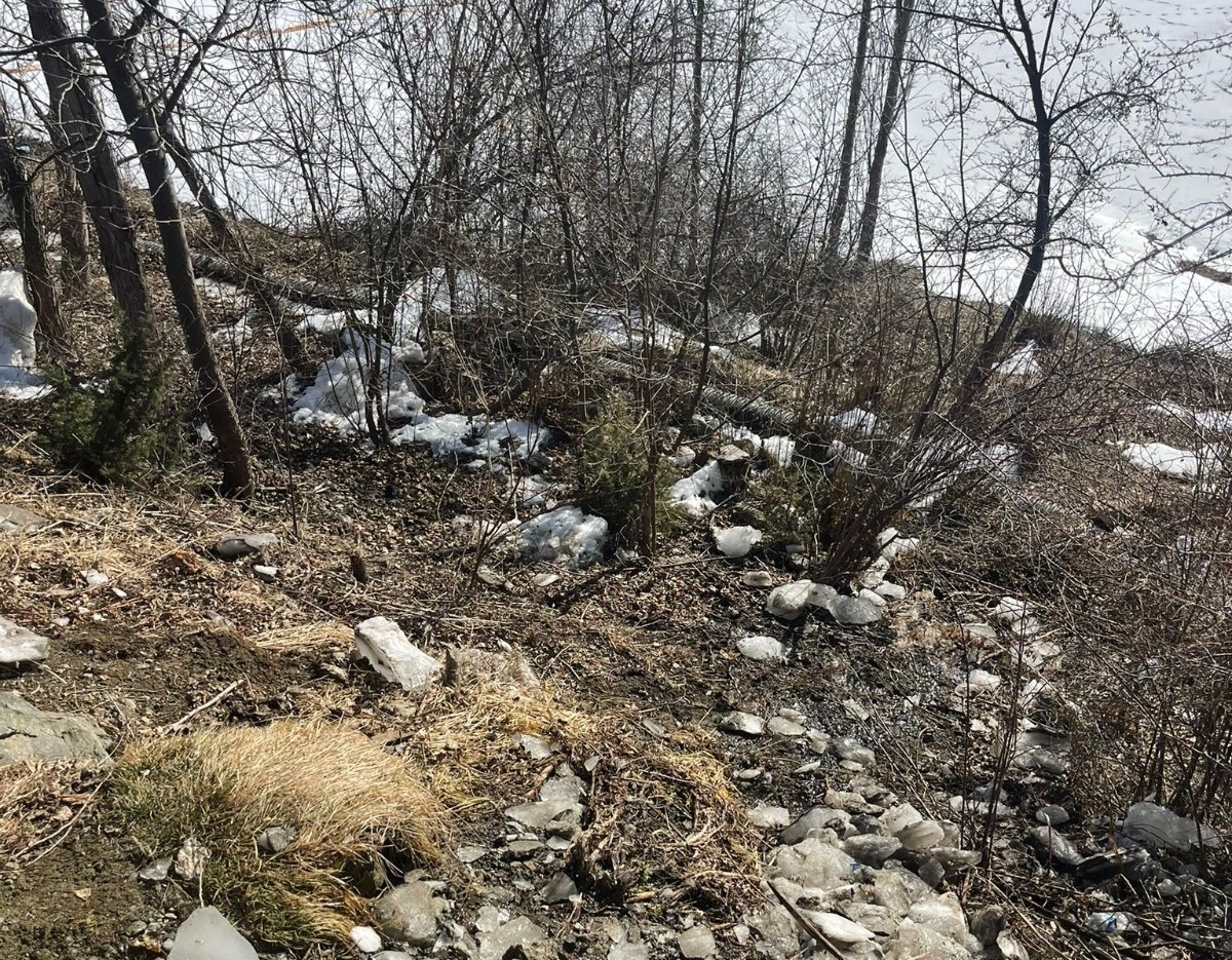 Çöp yığınları vatandaşı bıktırdı