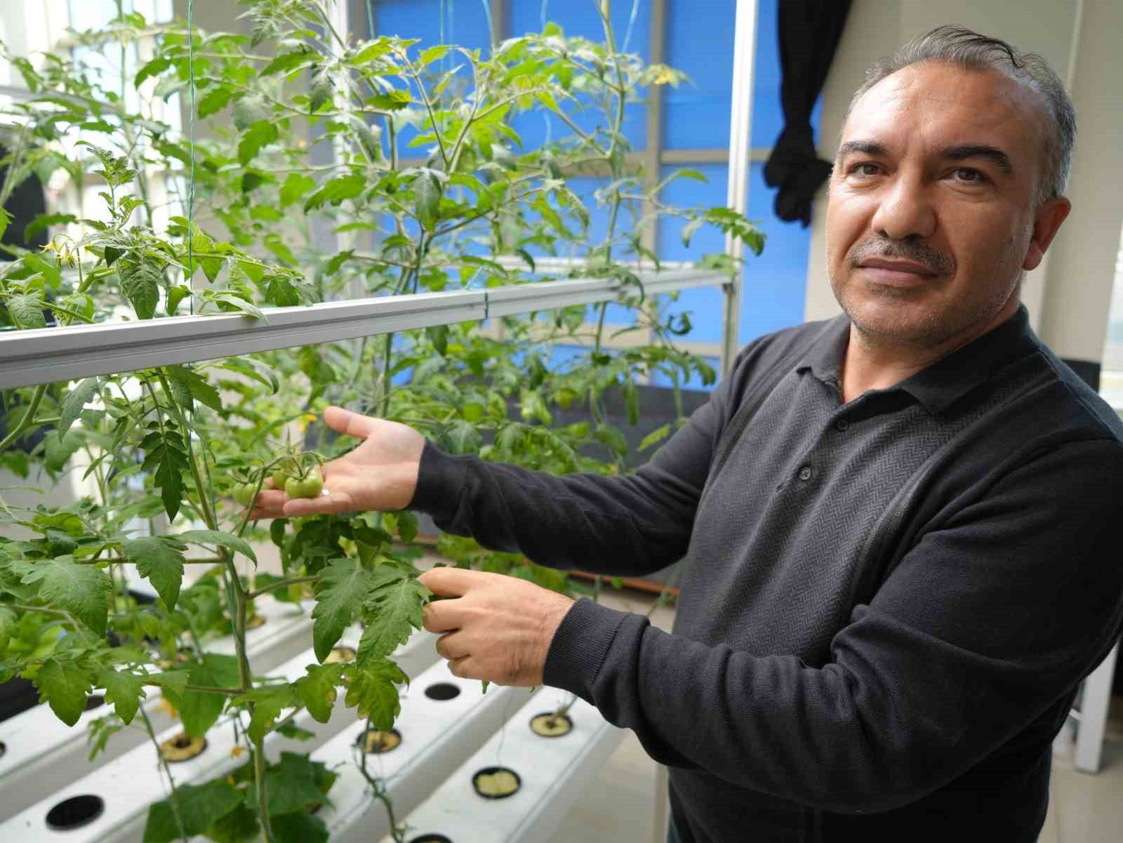 Iğdır’da topraksız tarım için ilk adım atıldı