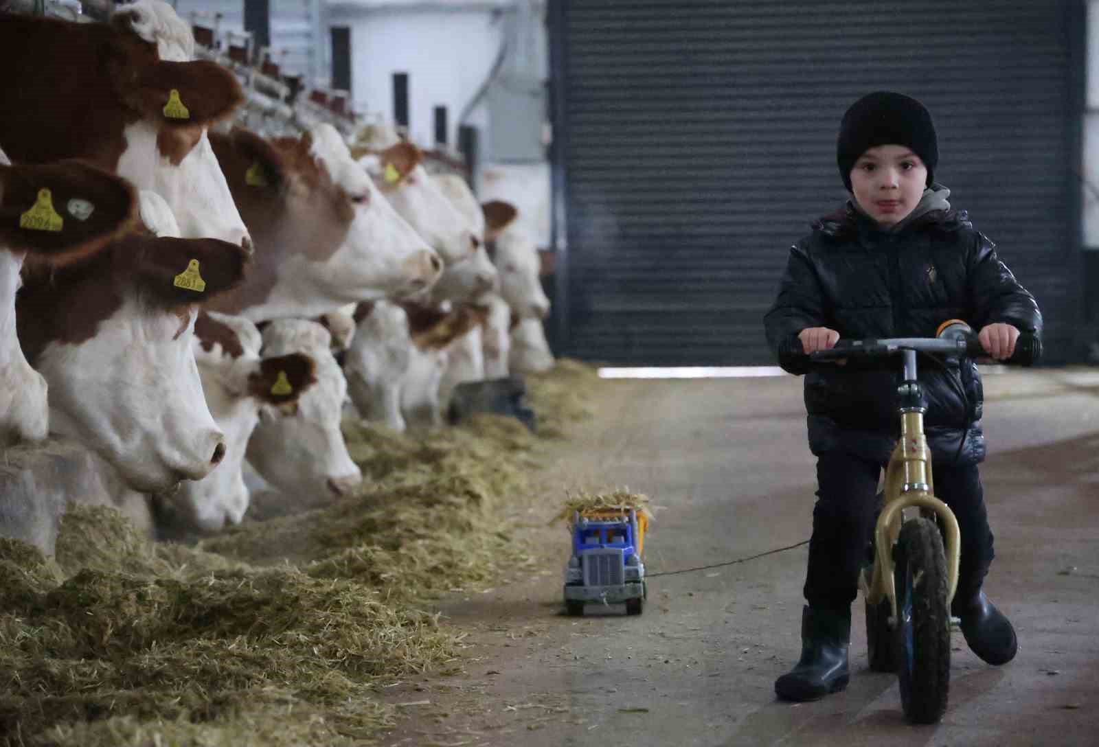 TKDK’dan aldığı destekle ülkesine dönüp çiftlik kurdu, 432 ton süt üretiyor