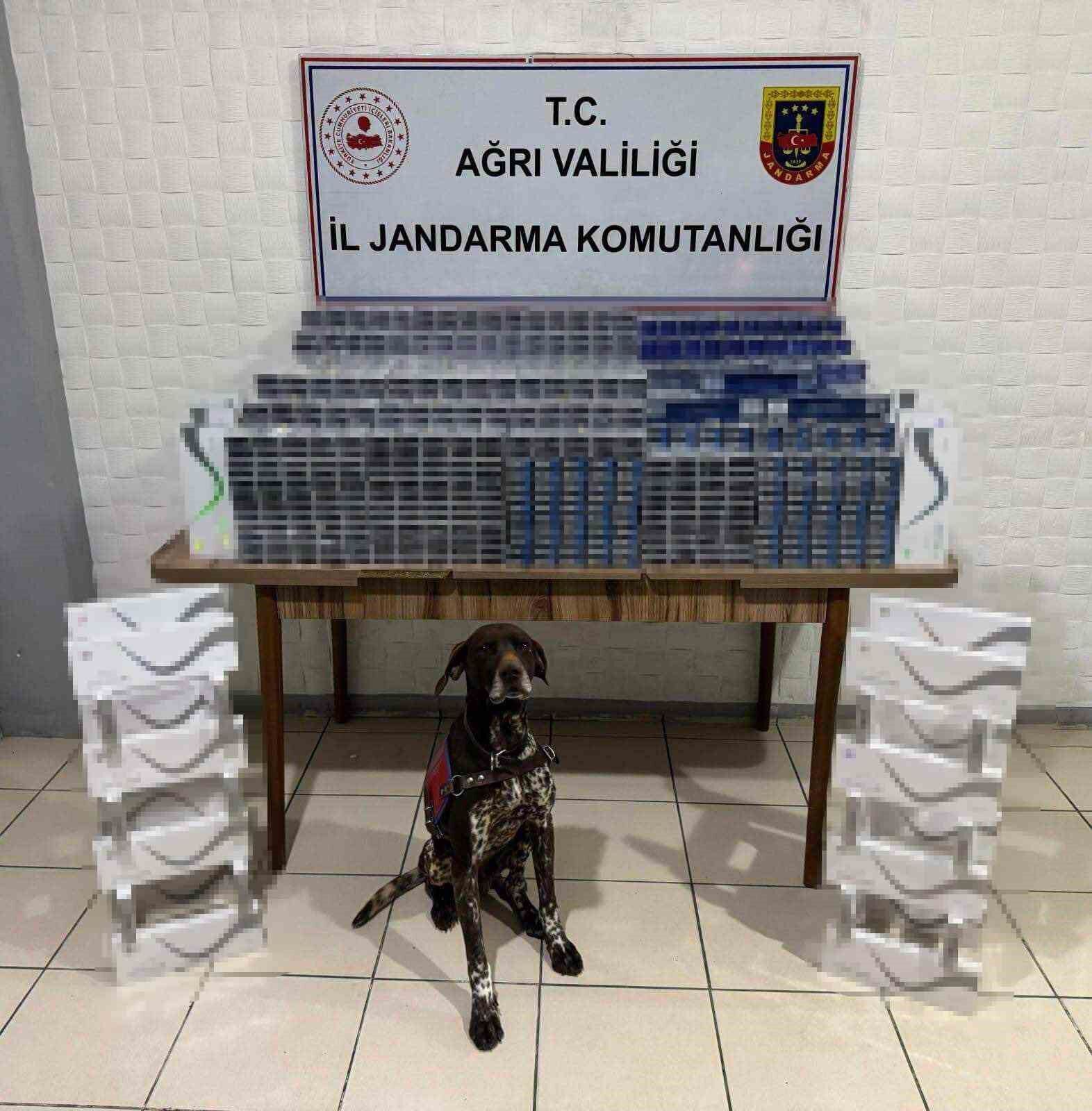 Ağrı’da 6 bin 548 paket kaçak sigara ele geçirildi