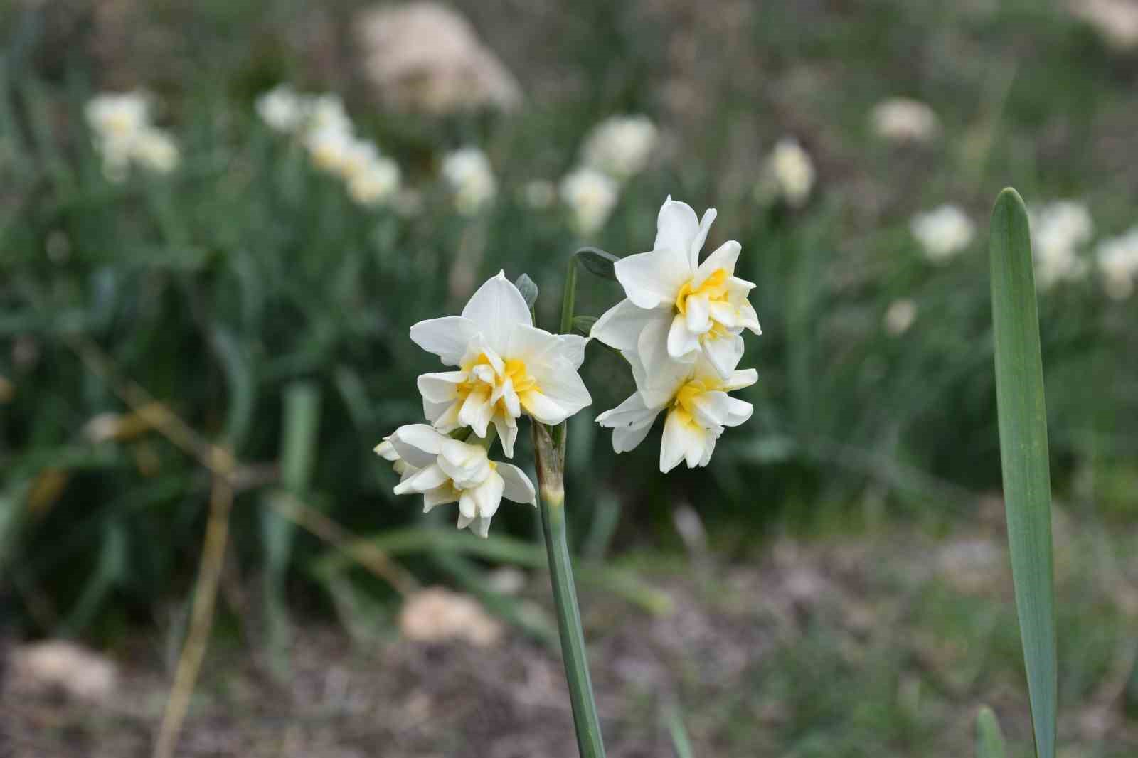 Hobi olarak başladı geçim kaynağı oldu