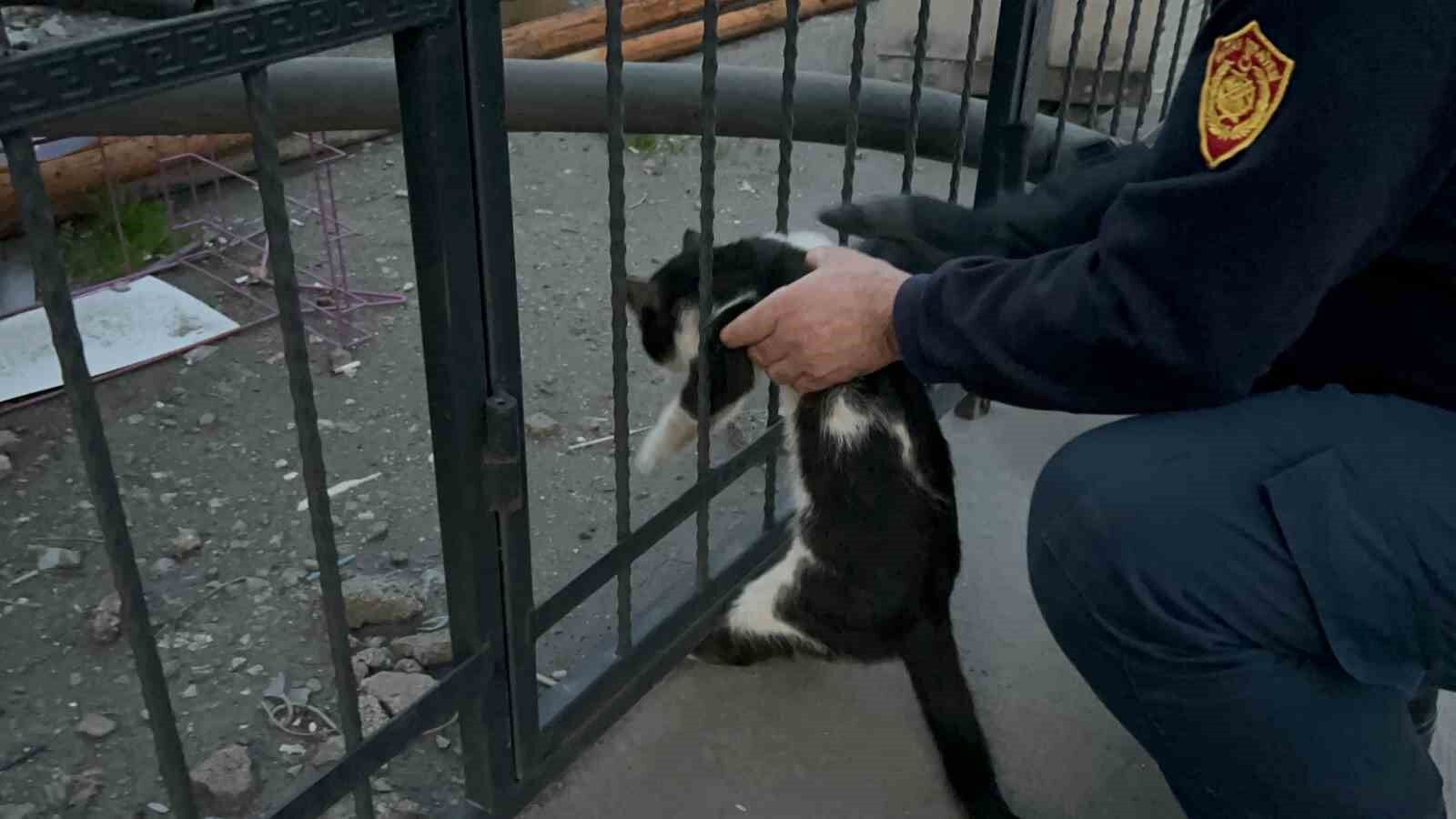 Elektrik panosuna giren kedi 5 saat sonra kurtarıldı