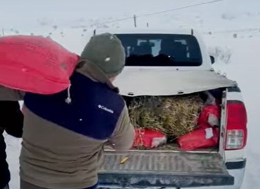 Doğu’da yaban hayvanları için doğaya yem bırakıldı