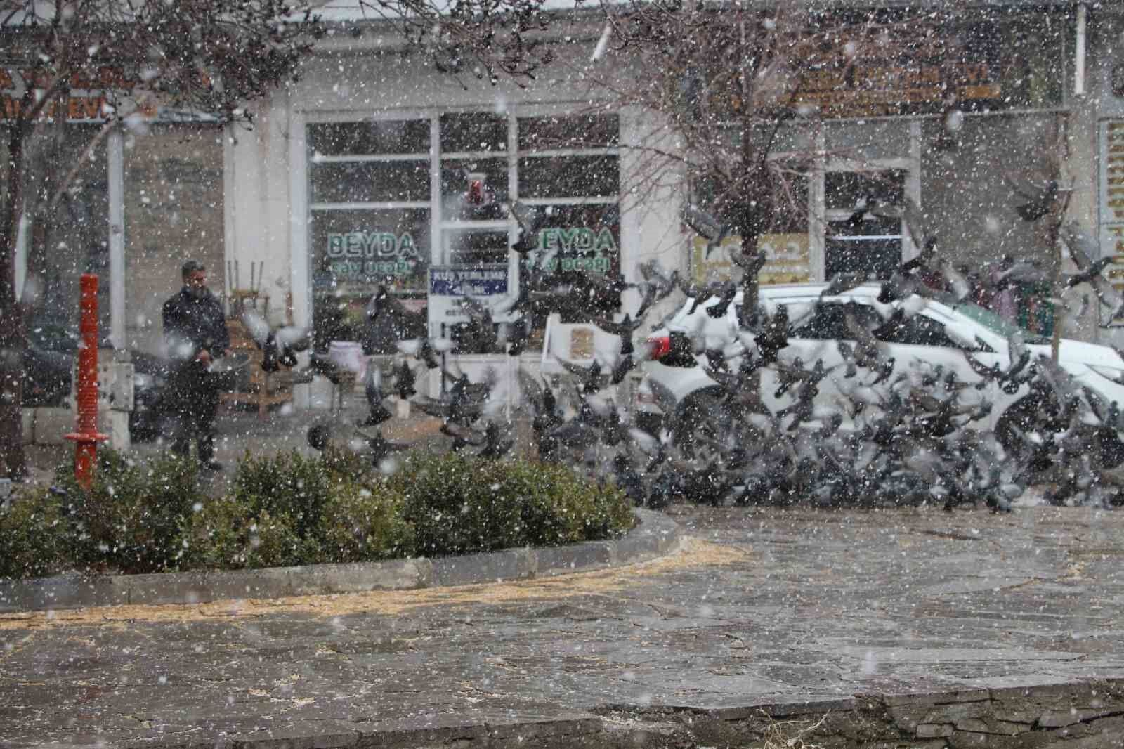 Van’da binlerce güvercini besleyen esnaf, kuşlara çocukları gibi bakıyor