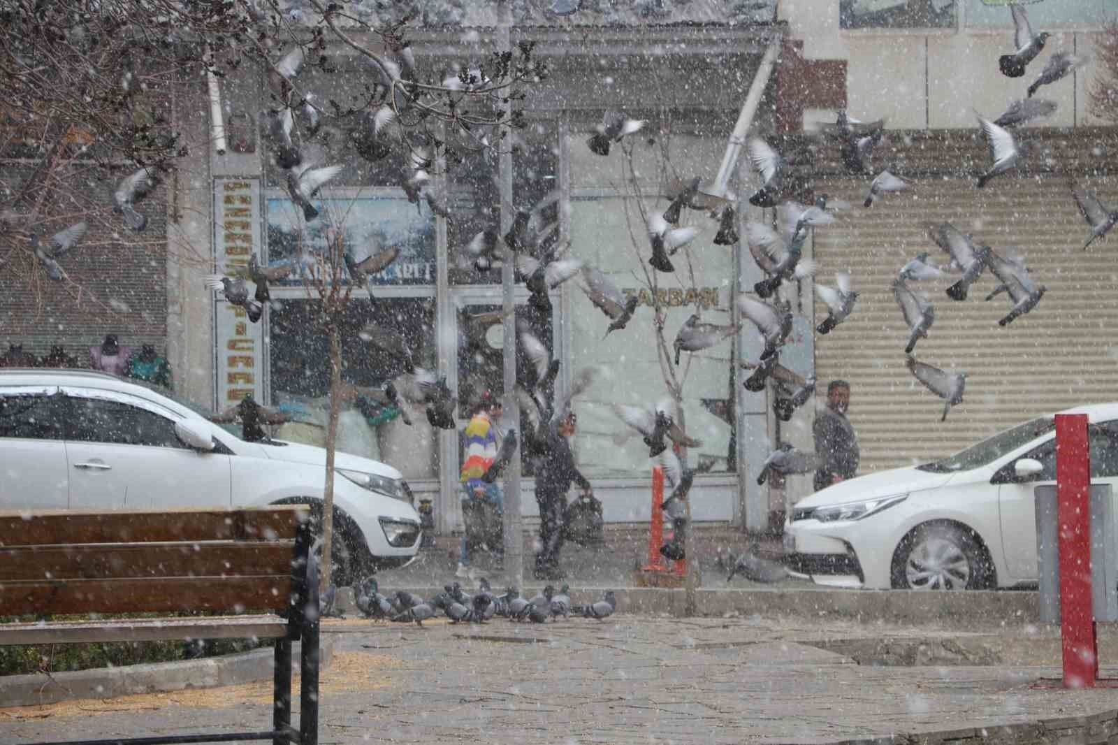 Van’da binlerce güvercini besleyen esnaf, kuşlara çocukları gibi bakıyor