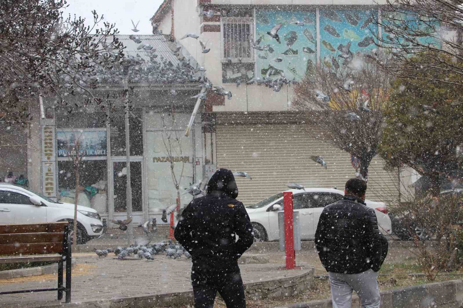 Van’da binlerce güvercini besleyen esnaf, kuşlara çocukları gibi bakıyor