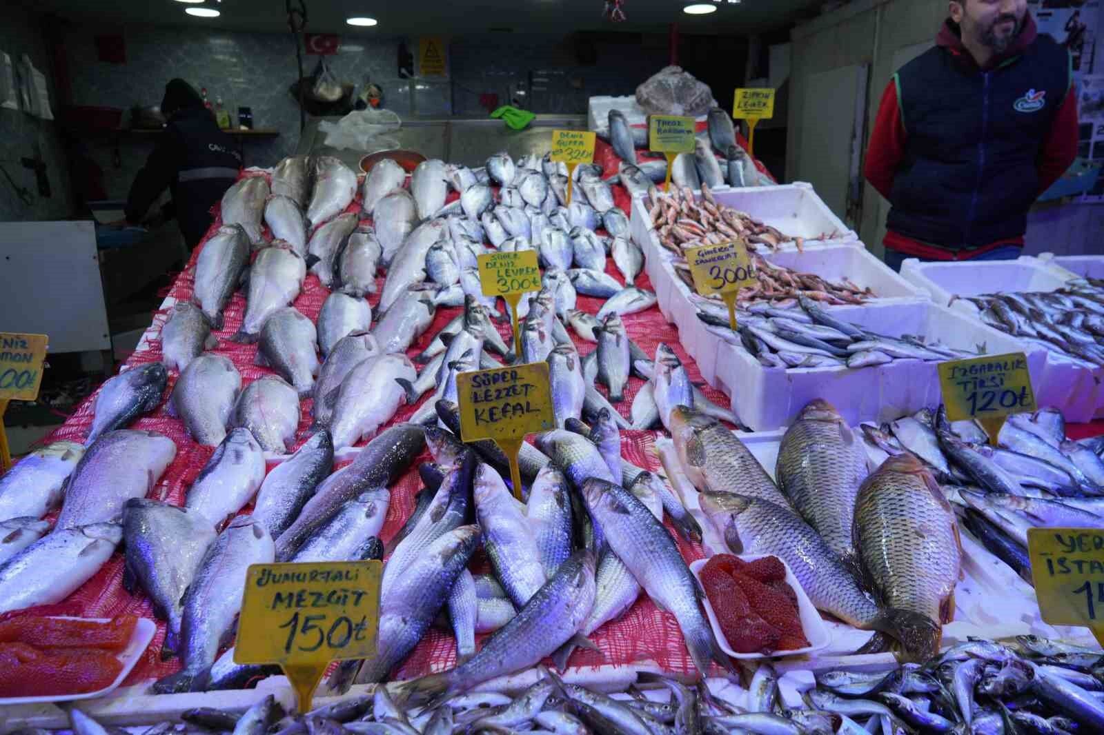 Balıkçılar 7 sezonda bir gelen bolluktan memnun