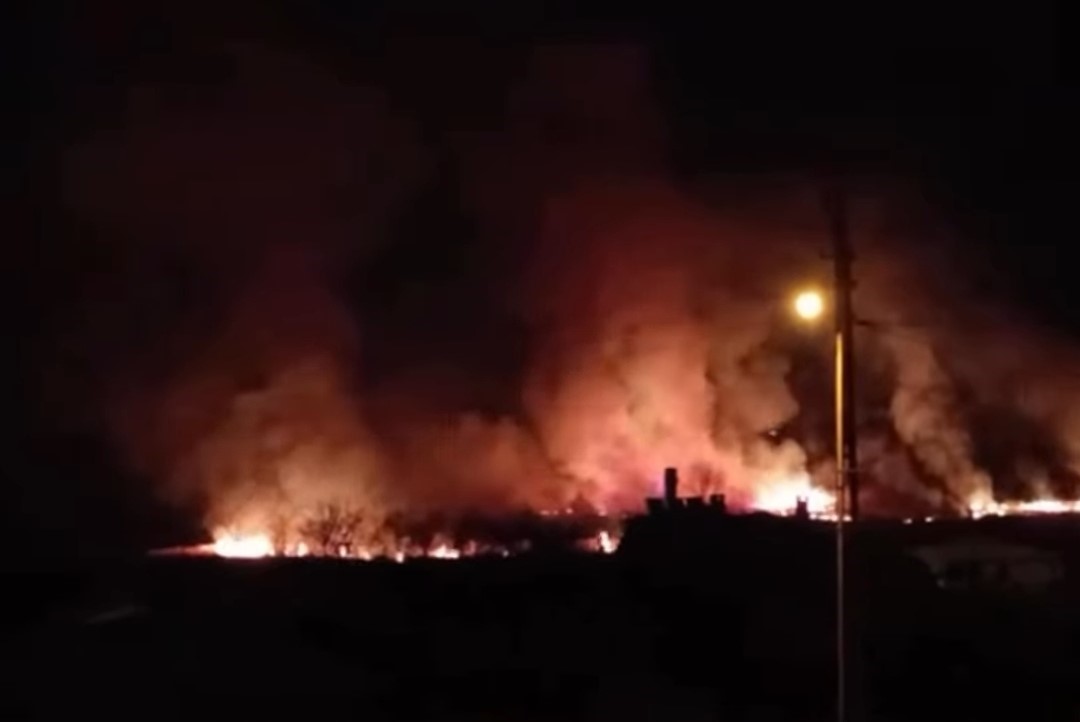 Van’da sazlık alanda yangın