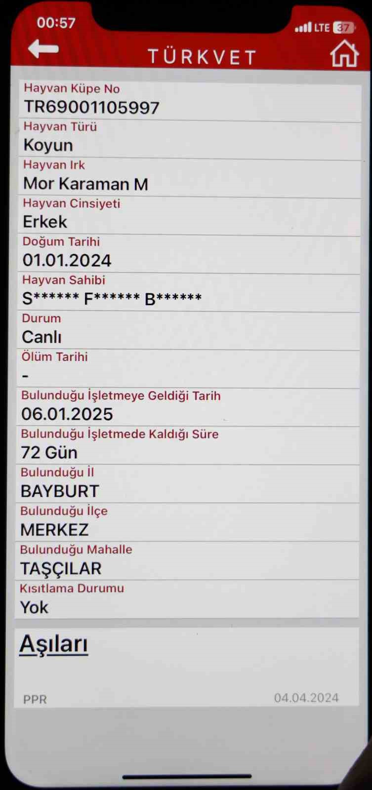 Kamyonetten yola düşen