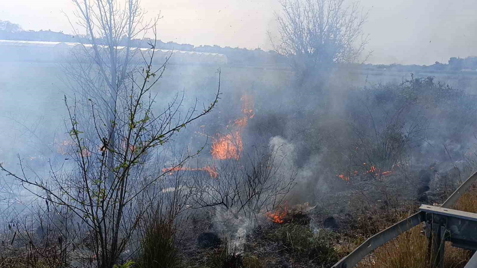 Araçtan atılan sigara yol kenarında yangın çıkardı, ilk müdahale beton mikserinden geldi