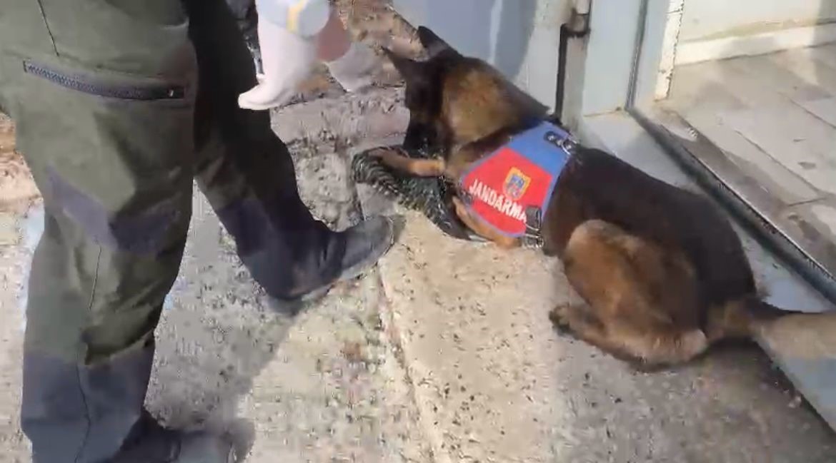 Tunceli’de şampuan şişesine gizlenmiş uyuşturucu ele geçirildi