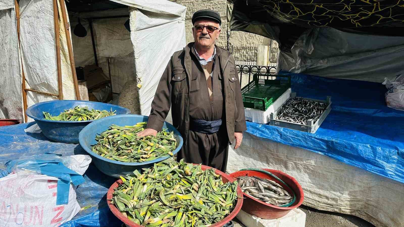 Çiriş otu tezgahlarındaki yerini aldı