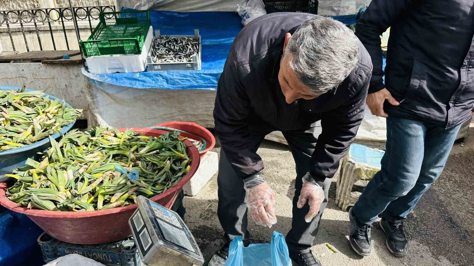 Çiriş otu tezgahlarındaki yerini aldı