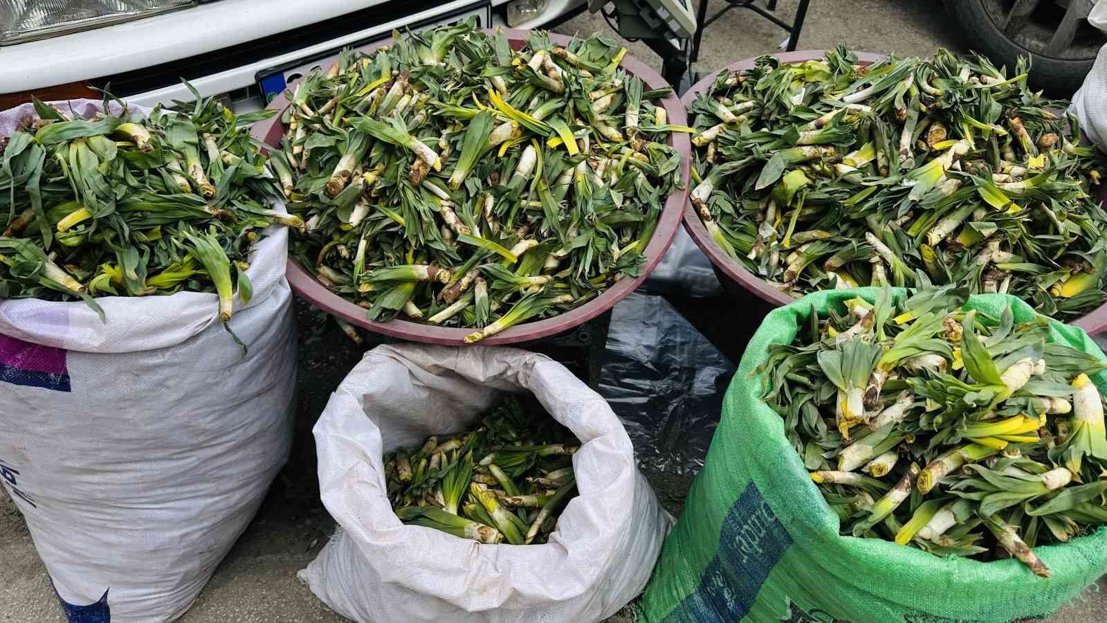 Çiriş otu tezgahlarındaki yerini aldı