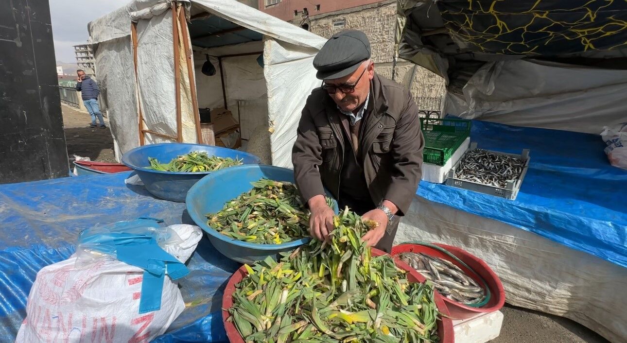 Çiriş otu tezgahlarındaki yerini aldı
