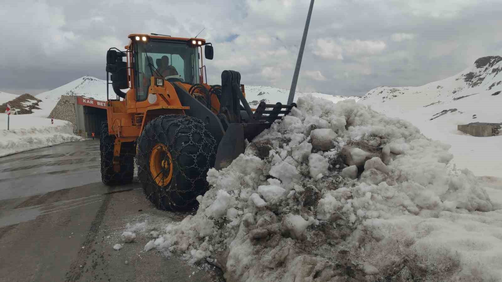 Kar kaplanları Nisan ayında da görevinin başında