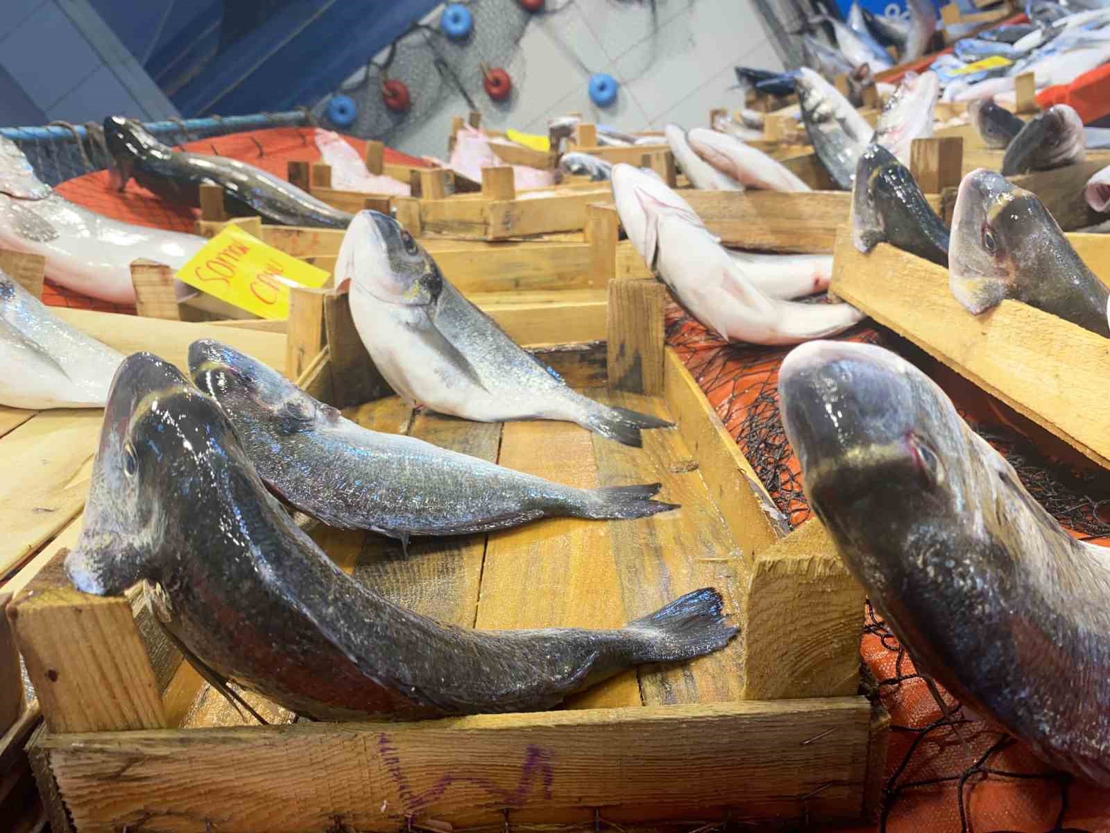 Yasak kapıda: Balıkçılar sezonun son siftahlarını yapıyor