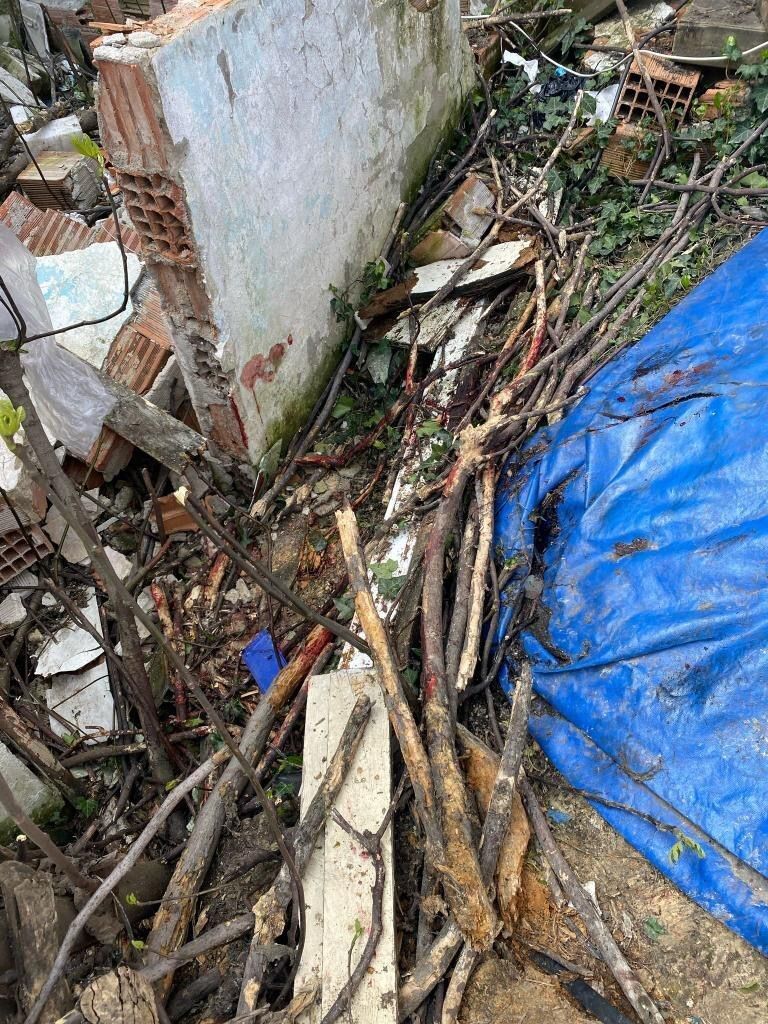 (ÖZEL) Arnavutköy’de kan donduran cinayet: Tartıştığı arkadaşı tarafından öldürülüp çayırlık alana atıldı