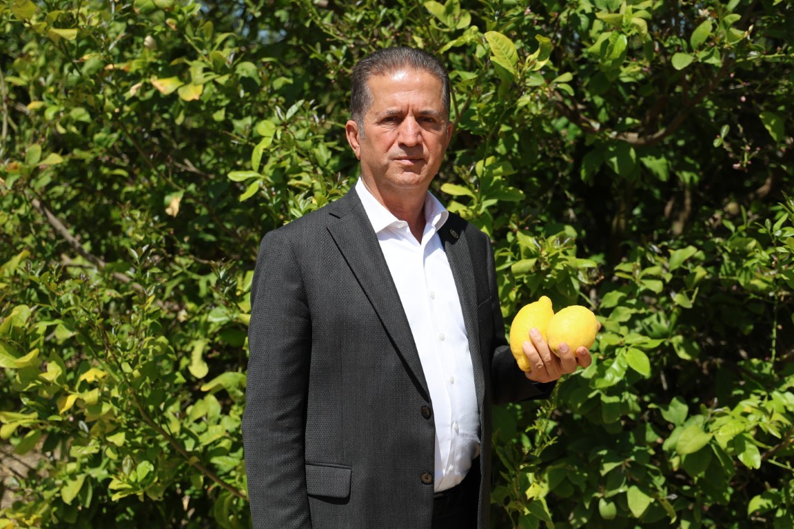 Limonda stokçuların oyunu ortaya çıktı