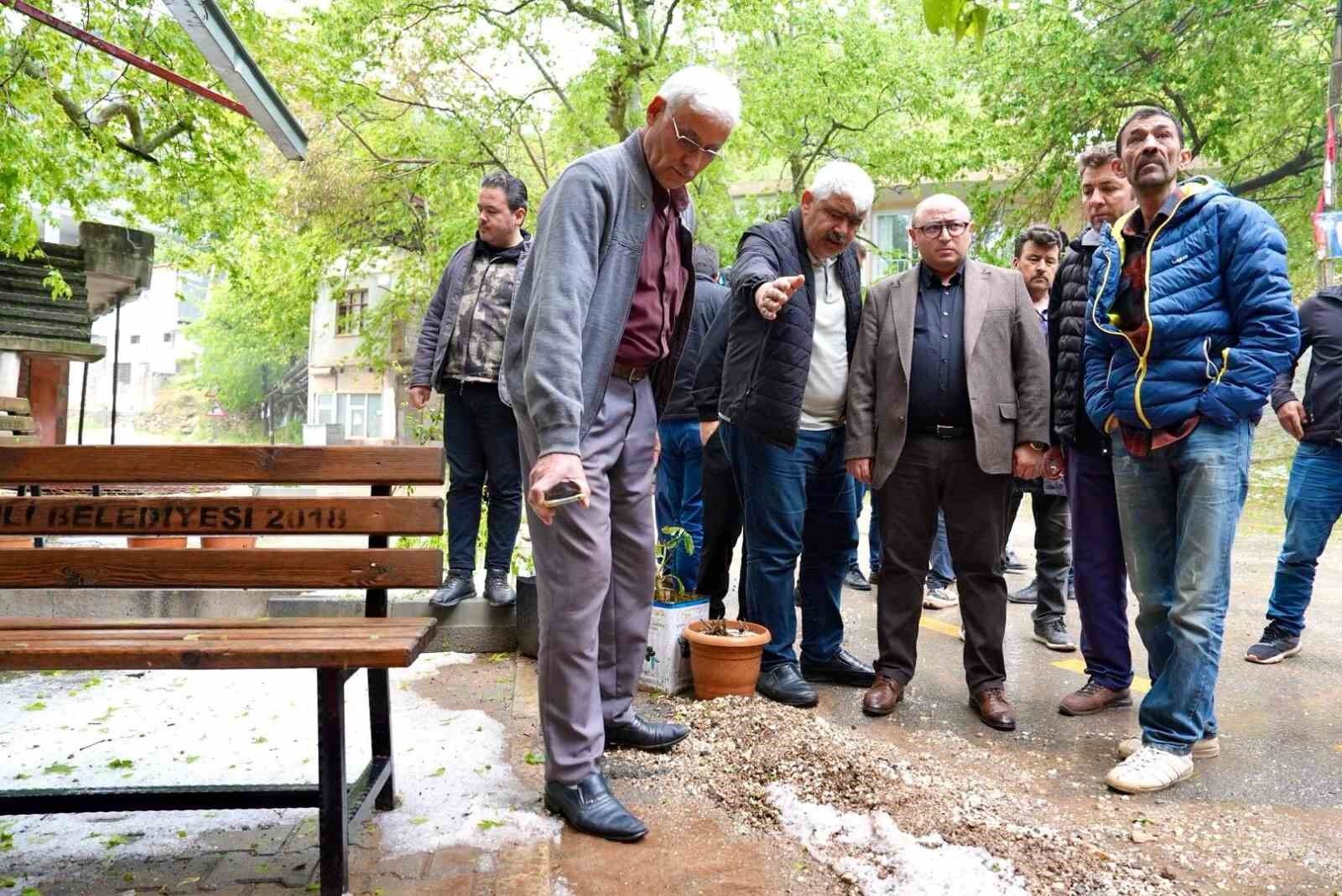 Dev kaya yola düştü, tarım alanları zarar gördü