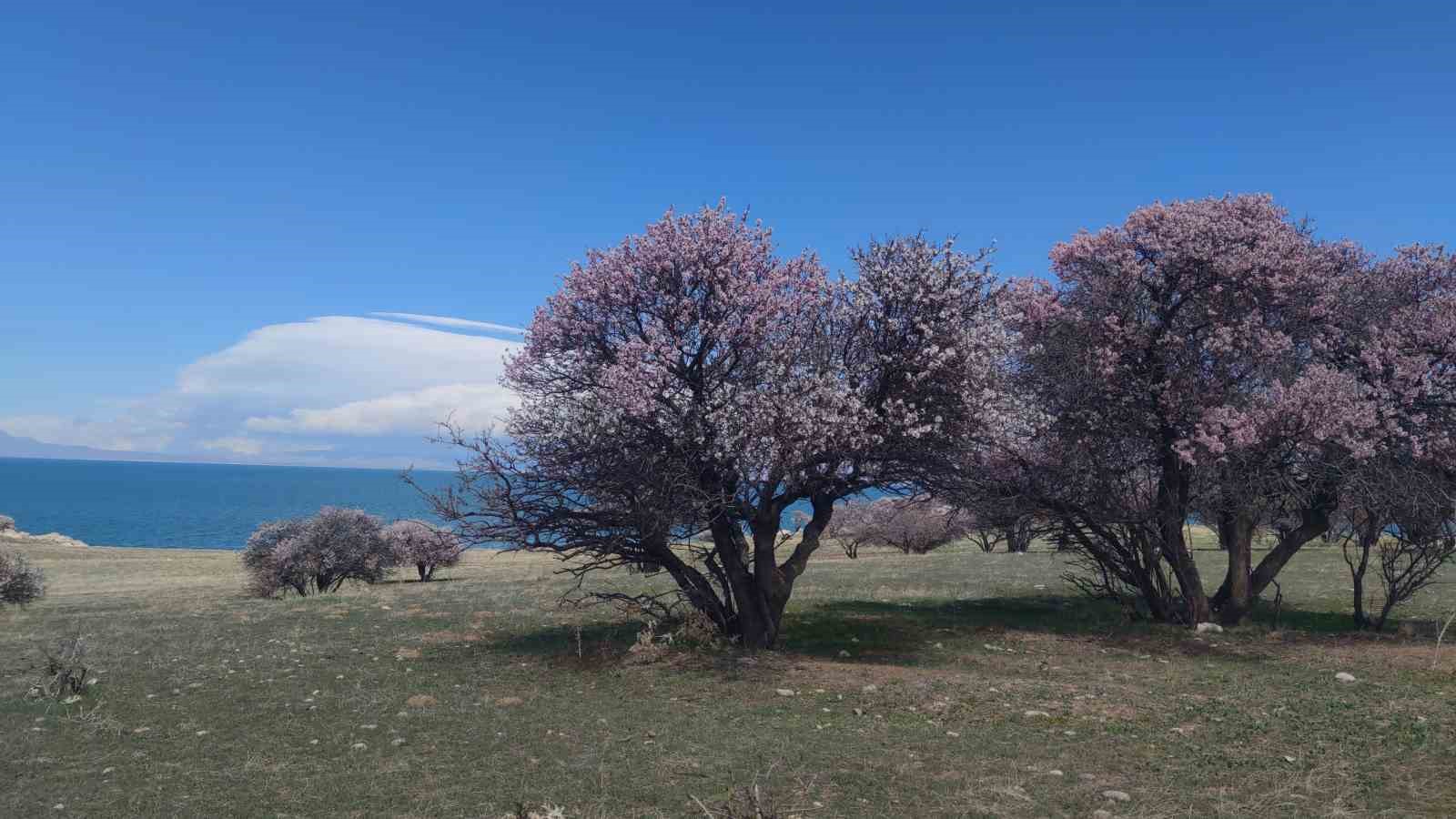 Doğaseverleri mest eden yarımada