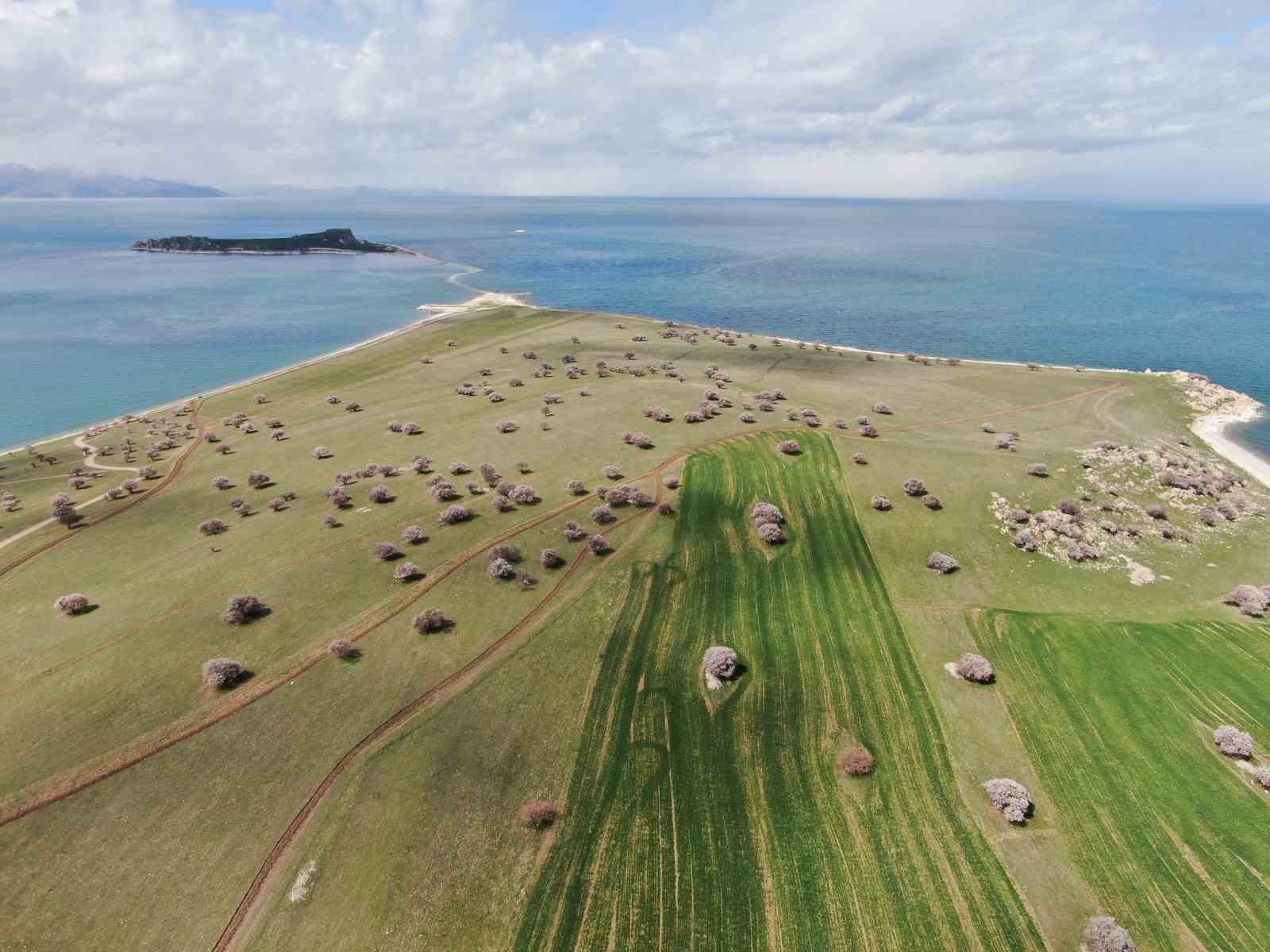 Doğaseverleri mest eden yarımada