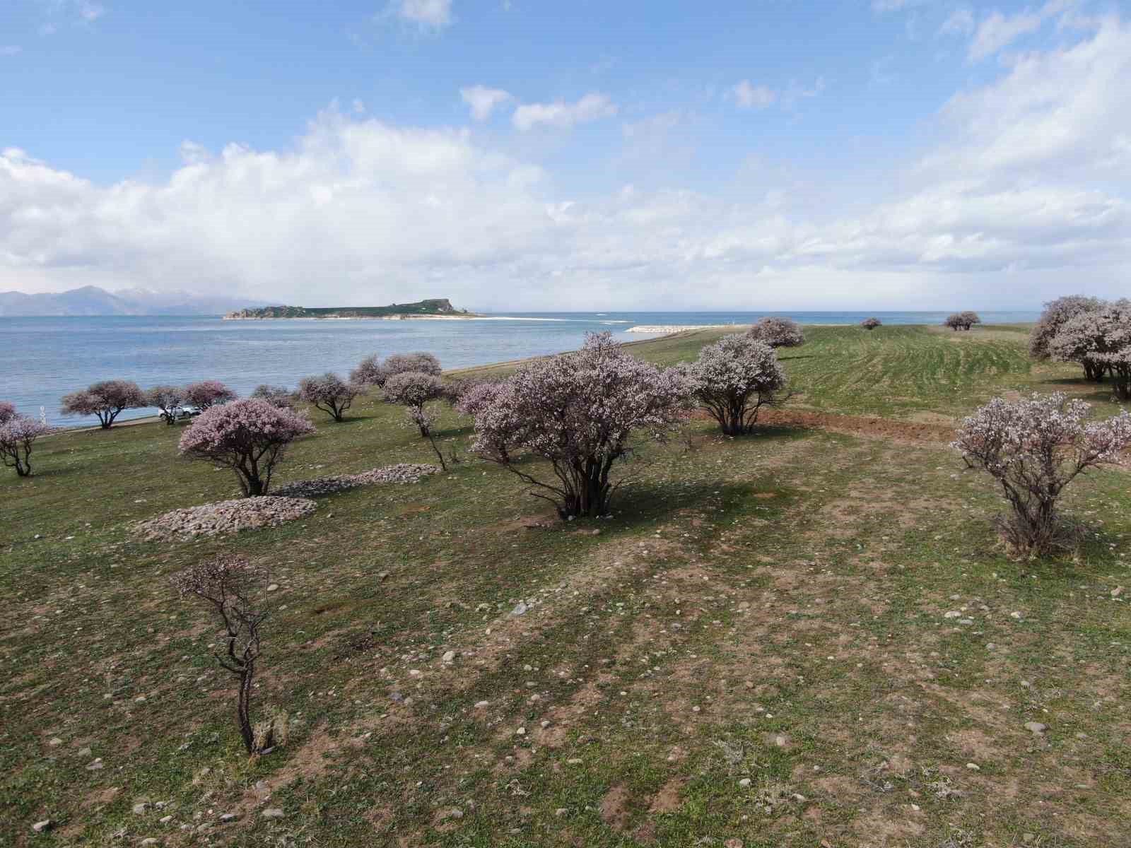 Doğaseverleri mest eden yarımada