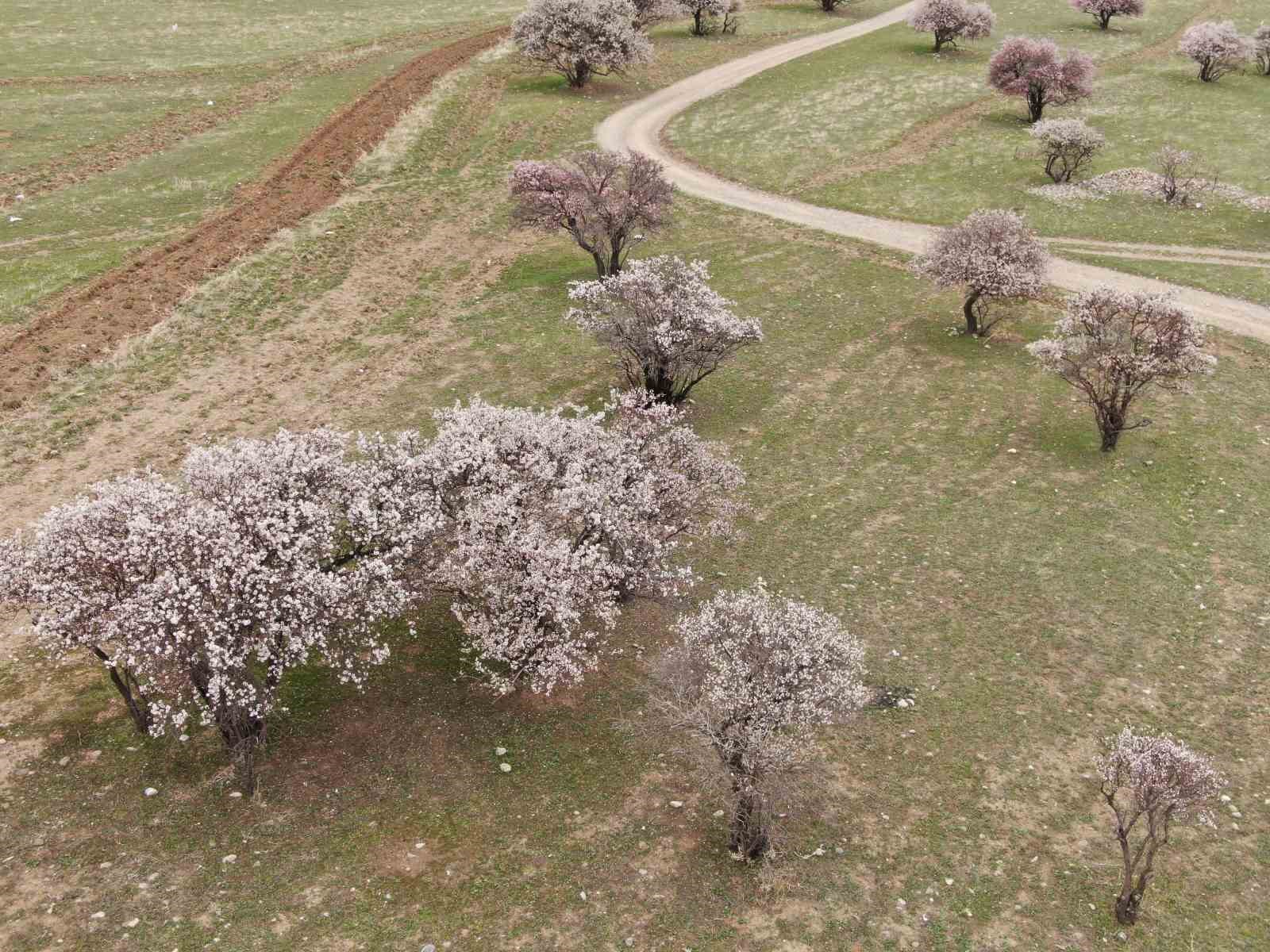 Doğaseverleri mest eden yarımada
