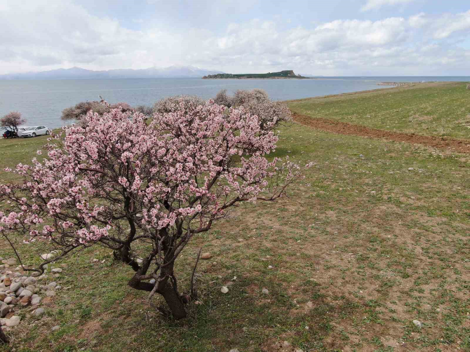 Doğaseverleri mest eden yarımada
