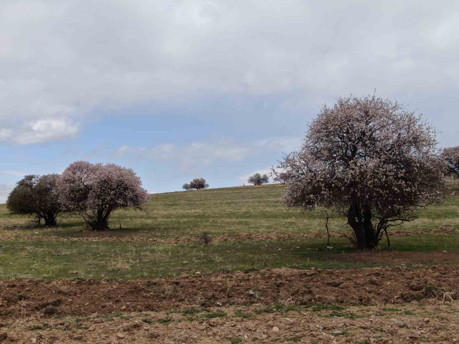 Doğaseverleri mest eden yarımada