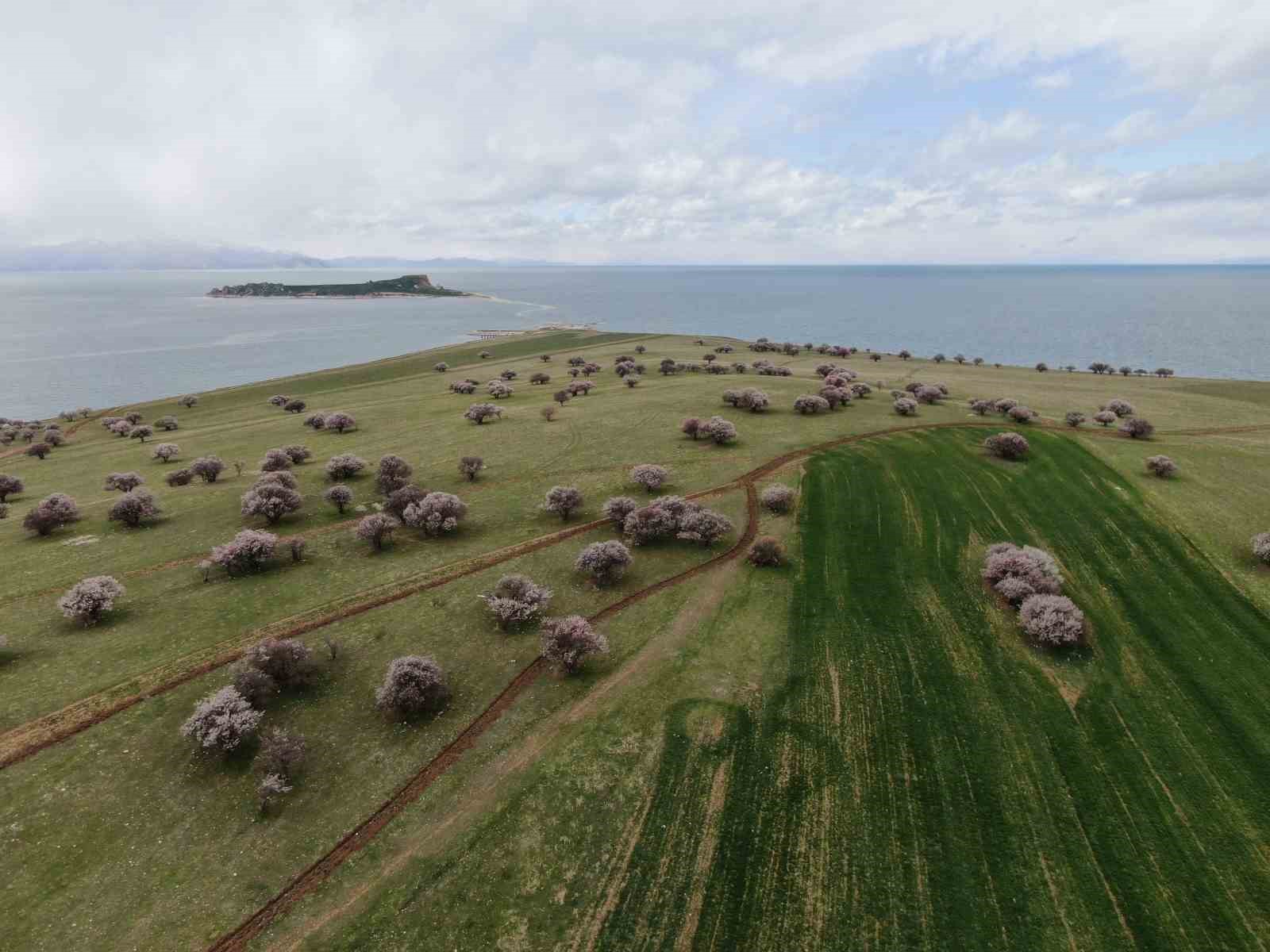 Doğaseverleri mest eden yarımada