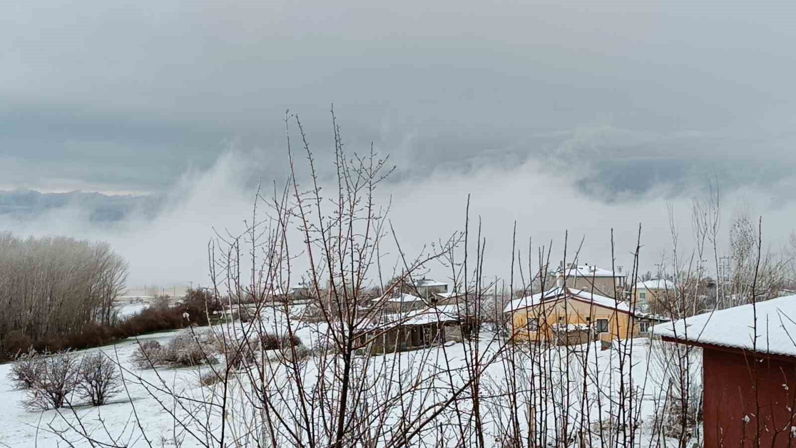 Van’da nisan sürprizi: Çiçek açan ağaçlara kar yağdı