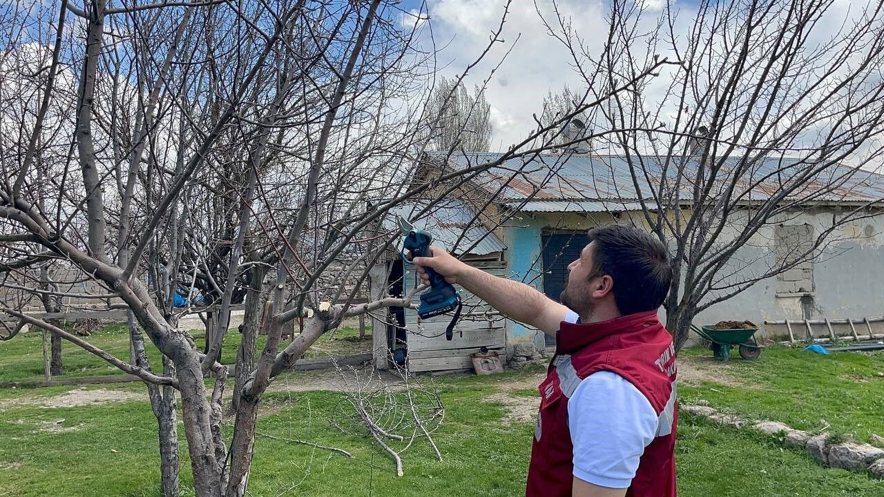 Van’da meyve ağaçları için budama eğitimi