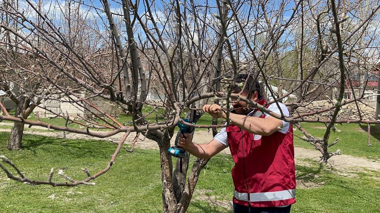 Van’da meyve ağaçları için budama eğitimi