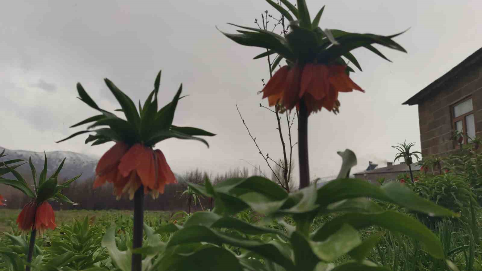 Van’da iki mevsim bir arada