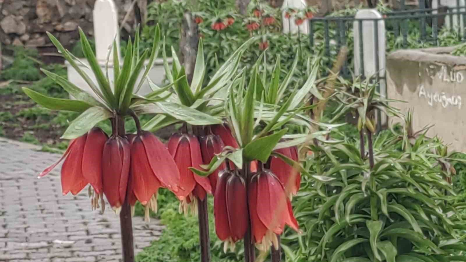 Van’da iki mevsim bir arada