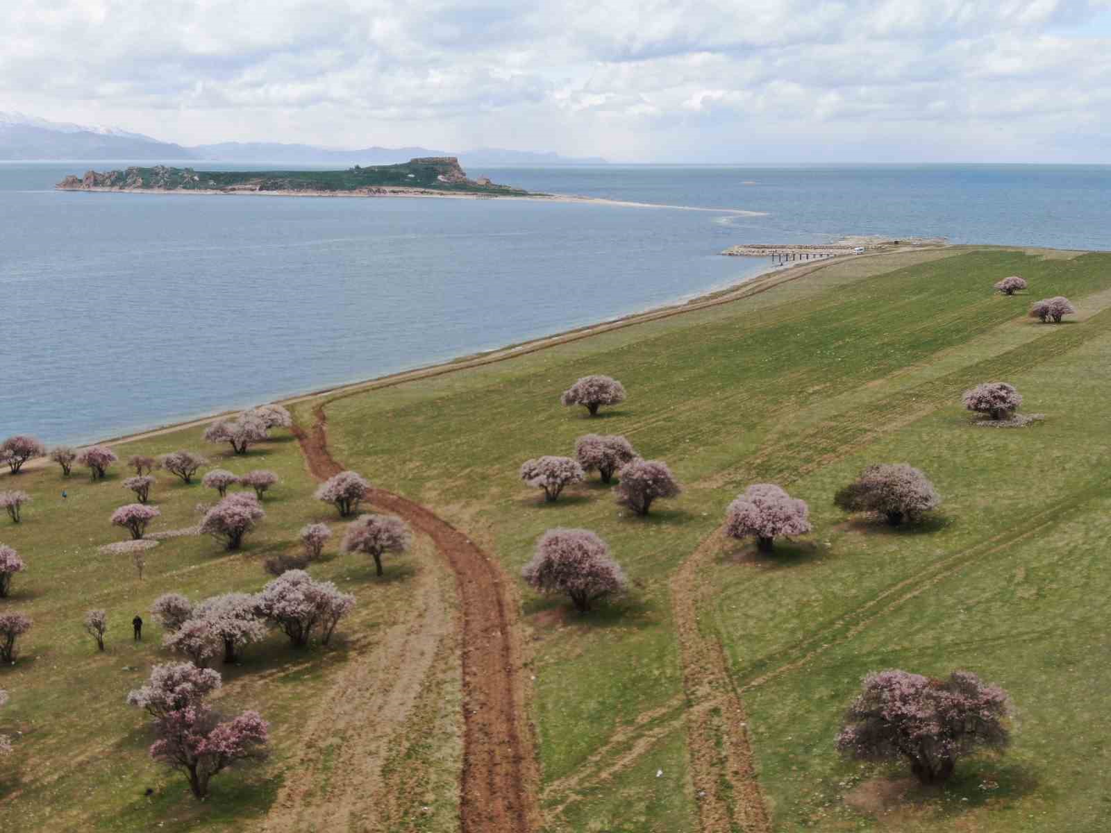 Van’da iki mevsim bir arada