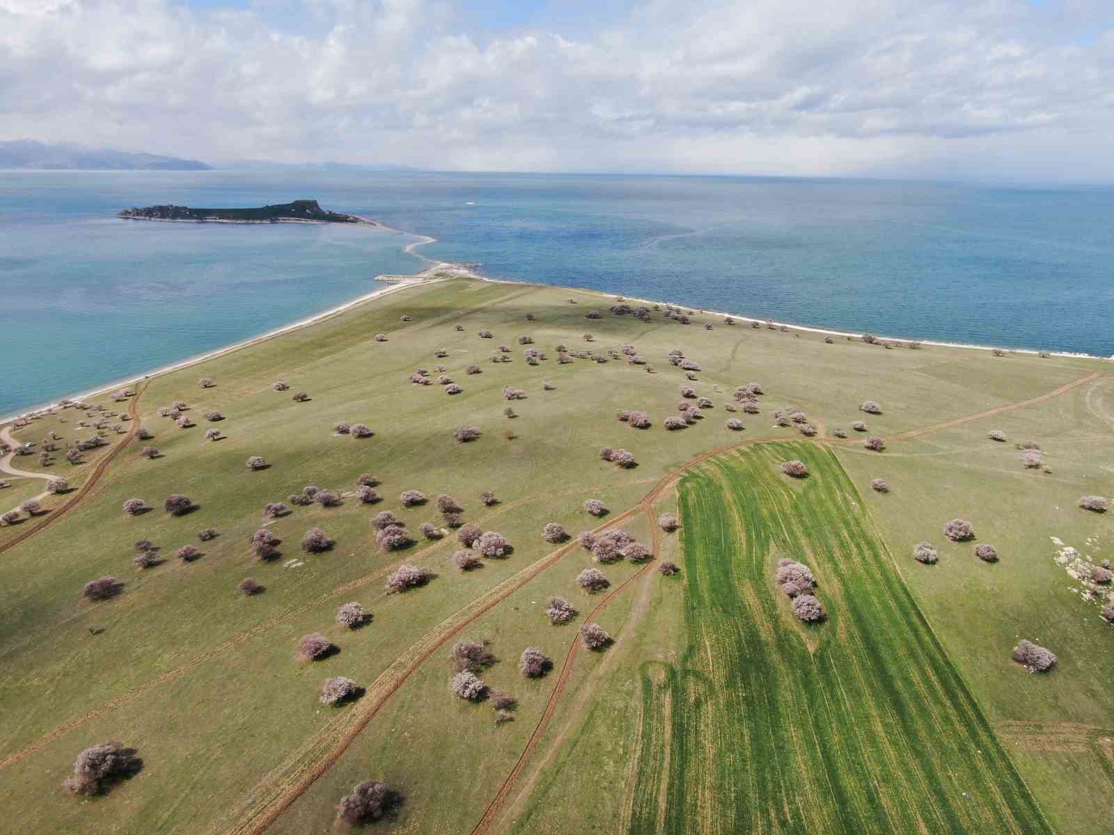 Van’da iki mevsim bir arada
