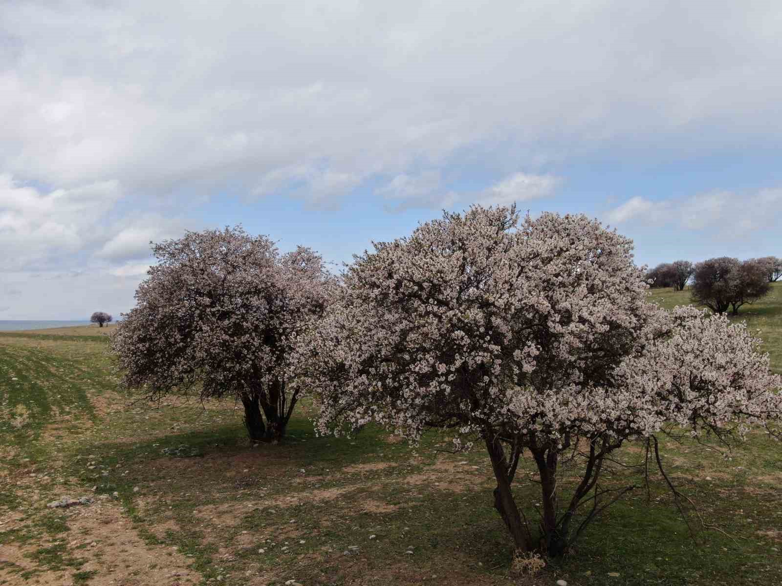 Van’da iki mevsim bir arada
