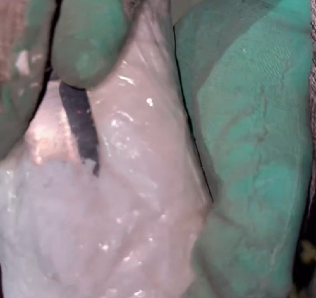 Hakkari’de 61 kilo uyuşturucu madde ele geçirildi